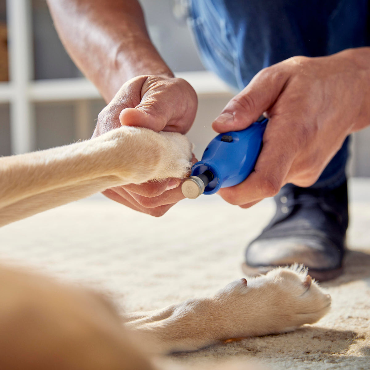 Dremel 416HP 5/8 In. Diamond Coated Pet Grooming Accessory