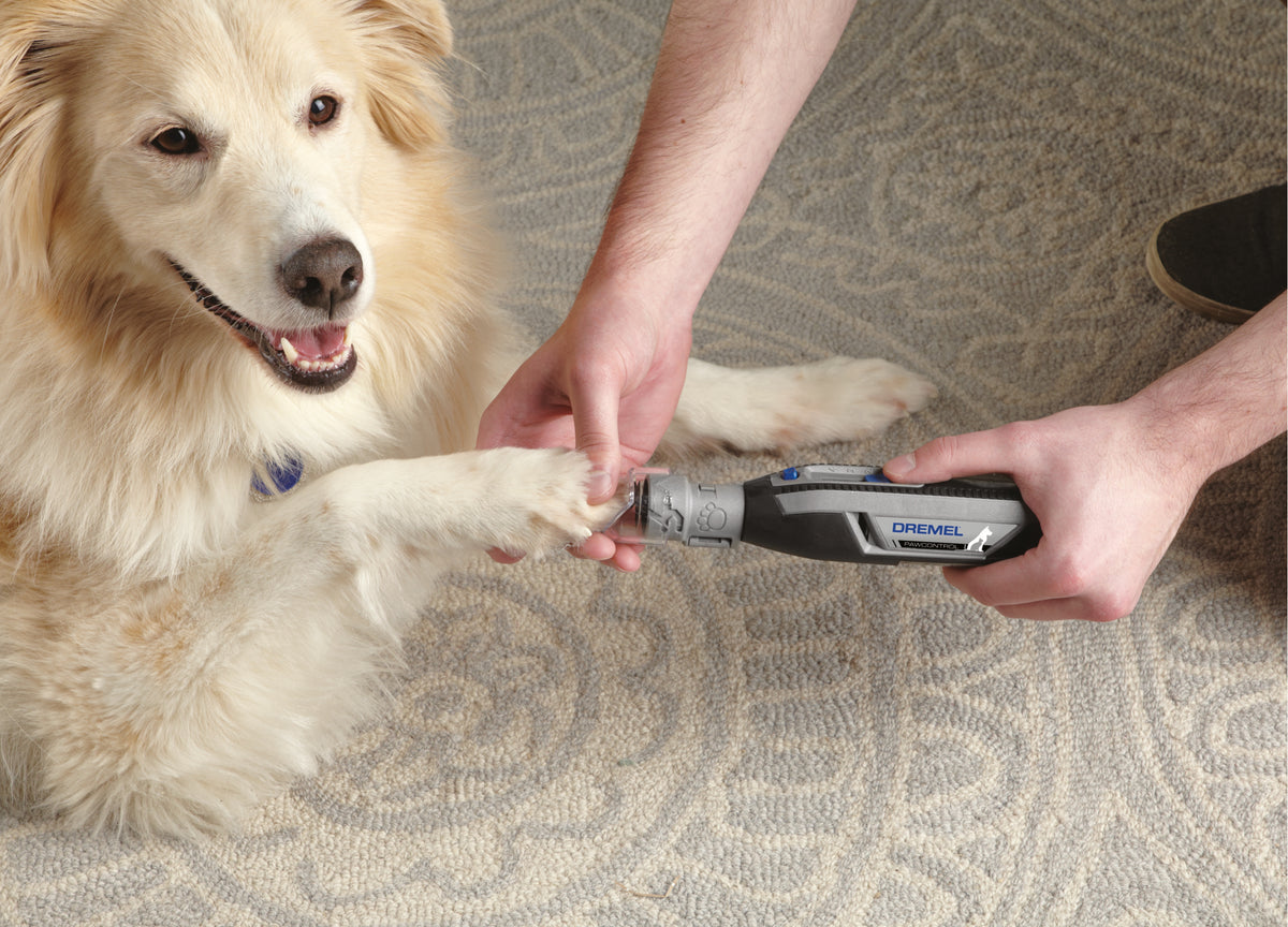 Dremel AT02-PGK Pet Grooming Attachment Kit